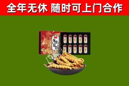 浉河区烟酒回收冬虫夏草礼盒.jpg